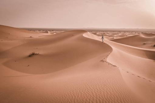 stretch-mark nature  landscape  desert  sand  dunes  stretch  footprints