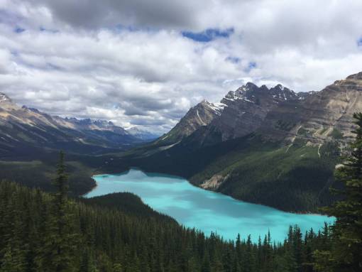 picturesque nature  landscape  mountains  summit  peaks  forests  trees