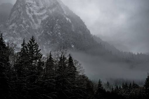 naturaleza paisaje montañas cumbre picos bosques árboles