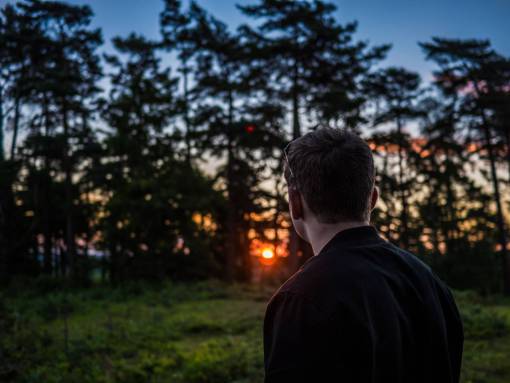 people  man  nature  sunset  sun  trees  green