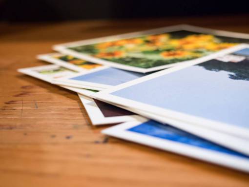 pictures-of-unicorn-stuffed-toysyy pictures  photos  photography  office  desk  business  creative
