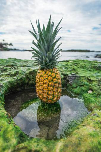 pineapple  dessert  appetizer  fruit  juice  crop  green