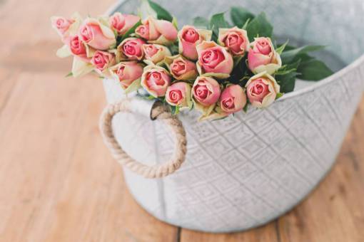 alone pink  roses  flowers  bouquet  basket  beauty
