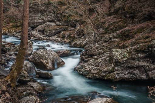 rocks  stone  river  water  nature  tree  plant