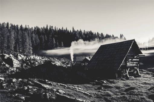 hut rural  trees  forest  rocks  huts  houses  black and white
