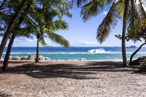 sea  ocean  blue  water  nature  sand  coast