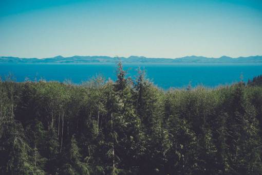 sky  blue  clear  mountains  horizon  water  trees