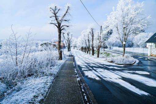nieve invierno blanco clima frío hielo árboles