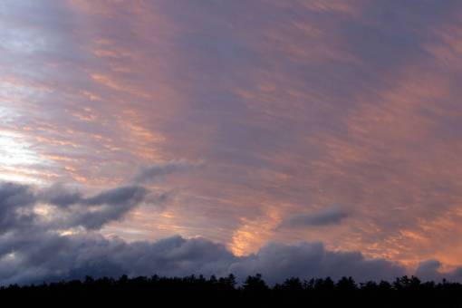 sunset  clouds  trees  nature  outdoors  dusk  sunlight