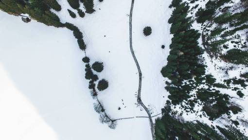 congelado vista superior plantas árboles pino aéreo nieve hielo