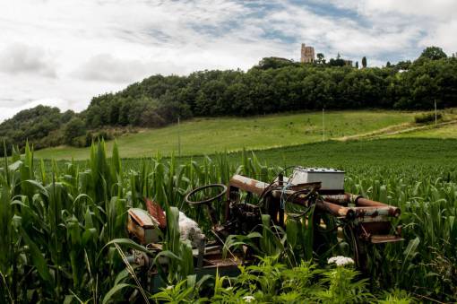 roto tractor roto óxido verde campos hojas árboles