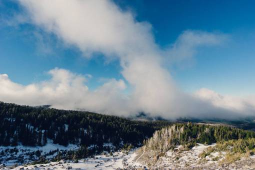 árboles bosques campos nieve cielo nubes naturaleza