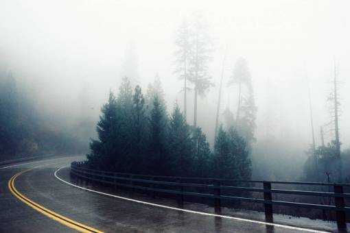 brumoso Carretera sinuosa barandilla barandilla niebla niebla árboles