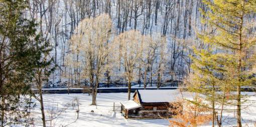 wide-angle winter  snow  cabin  trees

