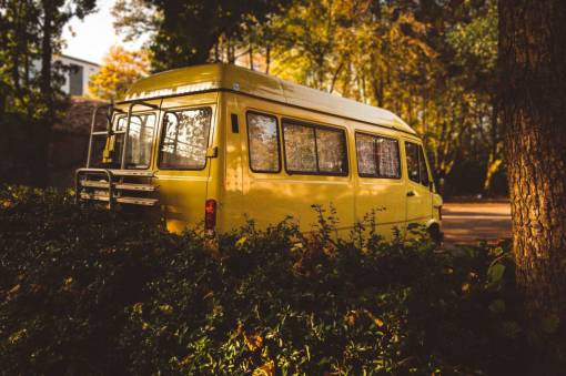 yellow  van  car  vehicle  green  plants  nature