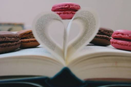 procesador libro leer estudio galleta macarrones dulces pastelería