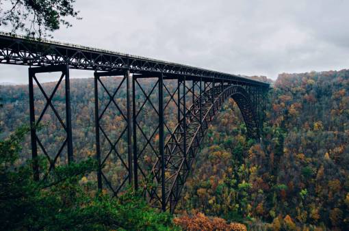 track bridge  architecture  train tracks  railroad  railway  trees  fall