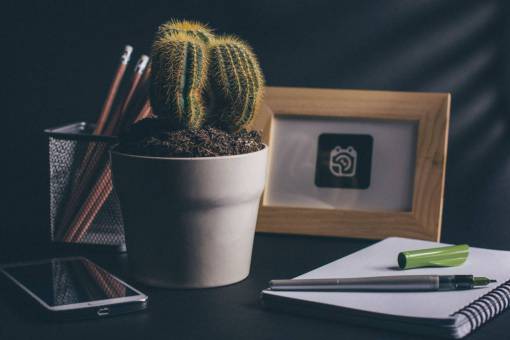 cuaderno cactus oficina escritorio cuaderno bloc de notas bolígrafos lápiz