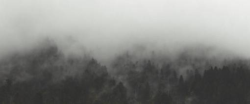 fog  trees  landscape  nature  forest  woods  clouds