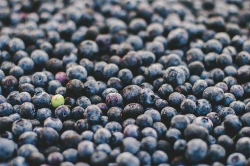 harvest-season fruit  round  blueberries  green  violet  berry  food