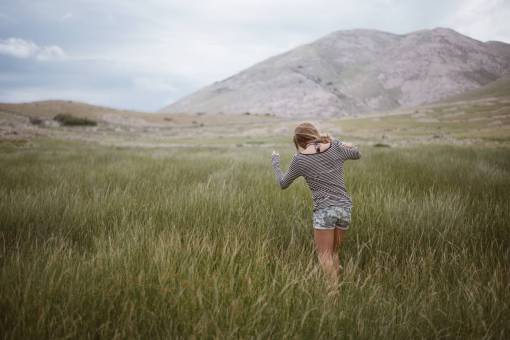 grassland green  grass  highland  grassland  landscape  nature  mountain
