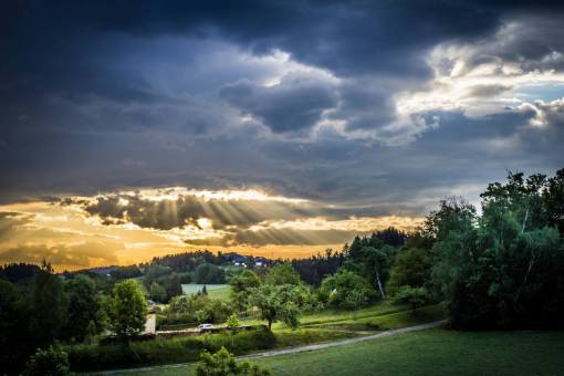 puesta del sol hierba verde plantas árboles naturaleza cielo nublado