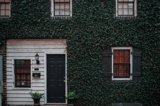 cortar casa hierba plantas florero ventana puerta de vidrio