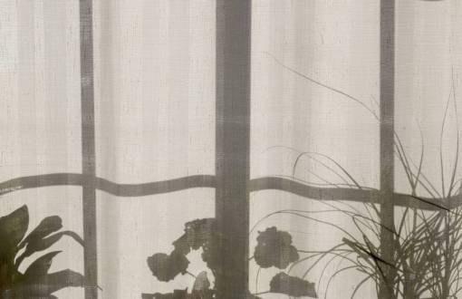 cortar casa casa plantas cortina ventana sombra
