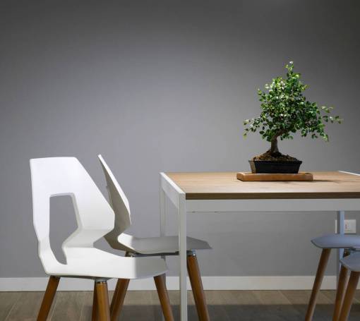 silla diseño de interiores mesa sillas muebles planta verde