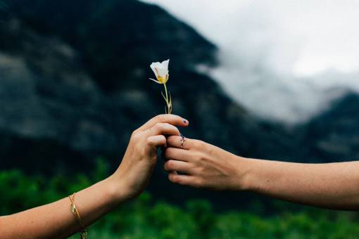 stalks man  woman  couple  people  hands  love  nature