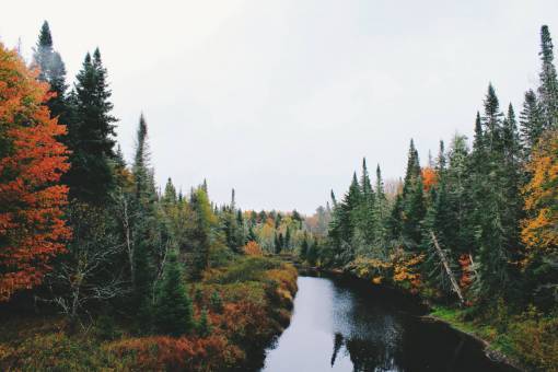 otono paisaje naturaleza paisaje árboles hierba otoño otoño agua
