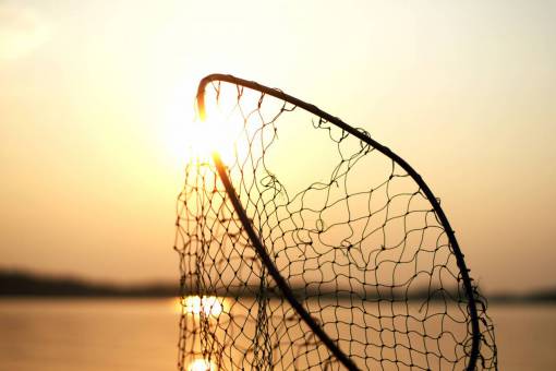 pesado pesca con red acero sol agua mar naturaleza