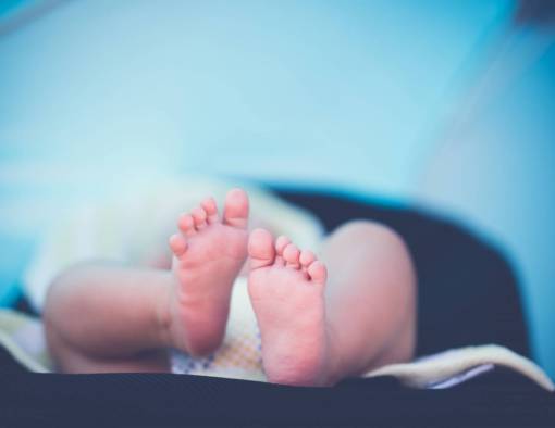 infant-photography new  born  baby  kid  infant  child  toddler