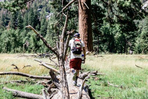 camping-gear people  man  guy  walking  travel  millenials  trees