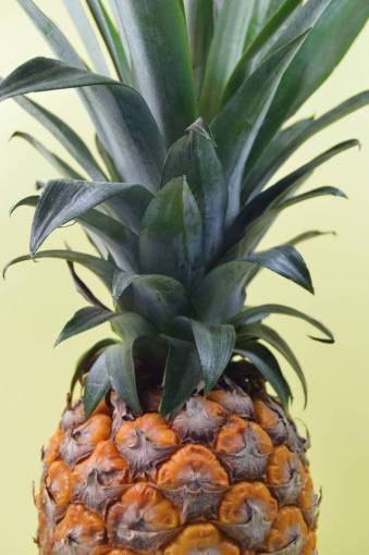 crop-plant pineapple  dessert  appetizer  fruit  juice  crop
