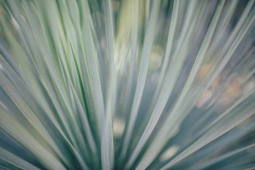 folded plastic  green  folds  blue  lines
