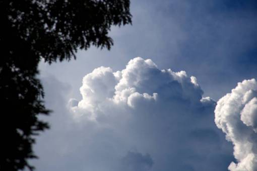 hinchadas nubes de verano árboles silueta naturaleza al aire libre