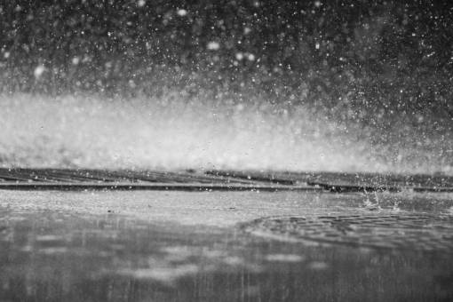 rainy raining  rain drops  wet  black and white  water
