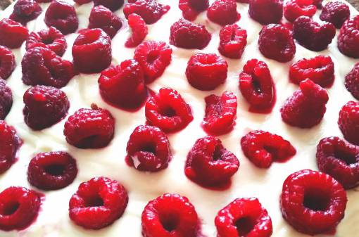 rasp raspberry  cake  dessert  sweets  raspberries  fruits  food