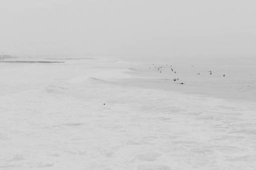 ave oceanica mar océano agua olas naturaleza gente nadando