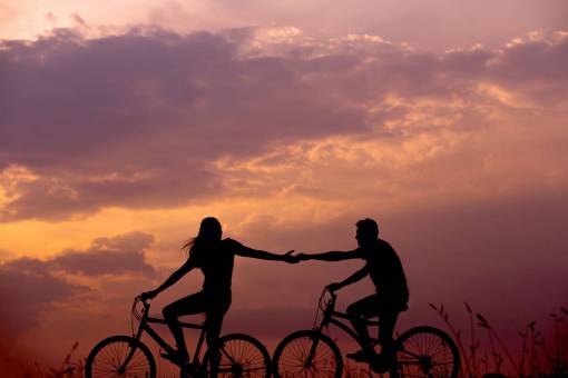 bicycle silhouette  bike  bicycle  couple  holding hands  leaves  grass