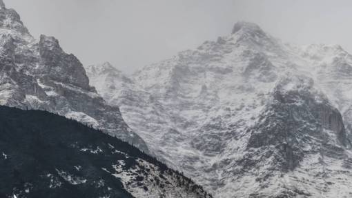 nieve invierno blanco clima frío hielo árboles