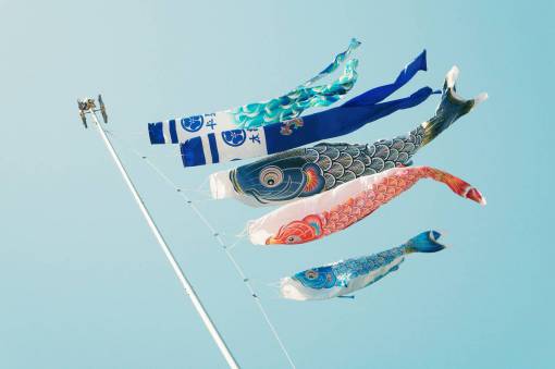 comet still  items  things  kites  banners  koi  graphic