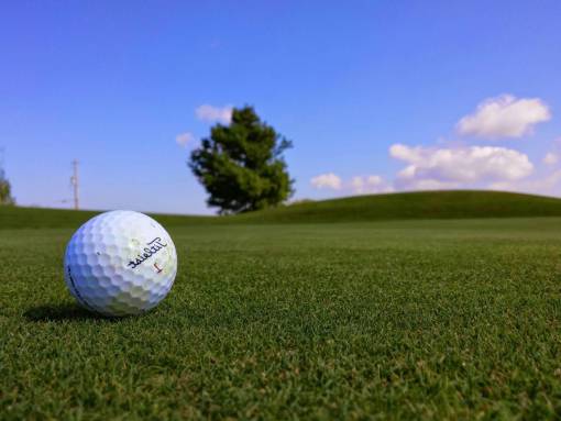 golf Titleist  golf  ball  green  grass  sports  fun