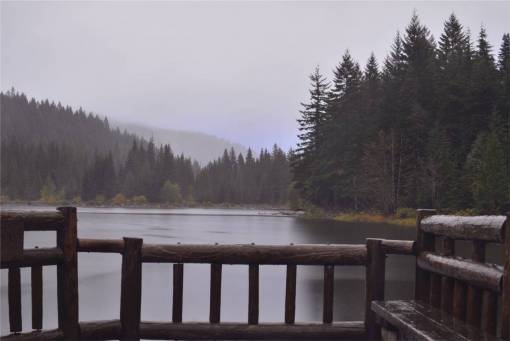 looking wood  dock  lookout  lake  water  trees  forest
