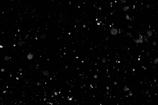 nieve Copos De Nieve Superpuestos PNG