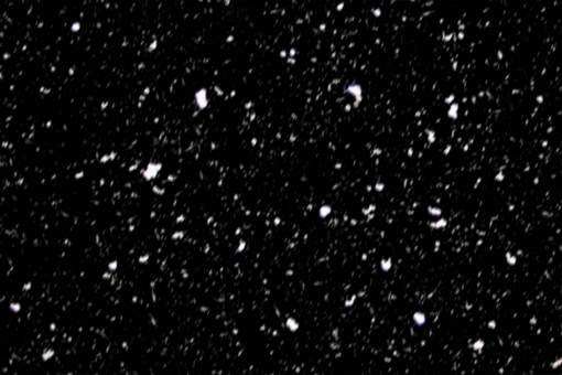 nieve Copos De Nieve Superpuestos PNG