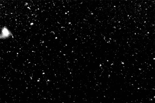 nieve Copos De Nieve Superpuestos PNG