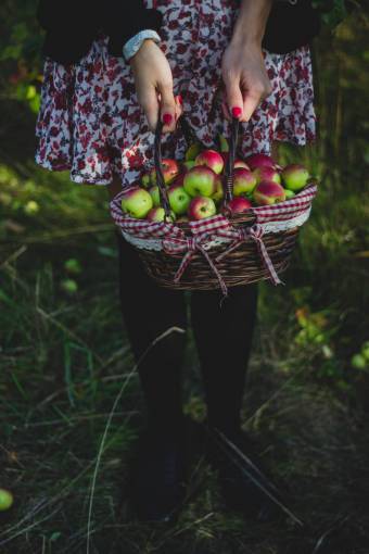 apple  basket  fruit  food  green  grass  outdoor