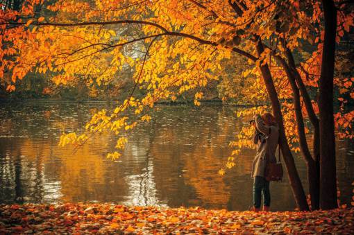 abrigo otoño otoño hojas colores agua lago niña